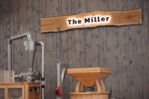 Stone mill for flour with sifter D30S mini
